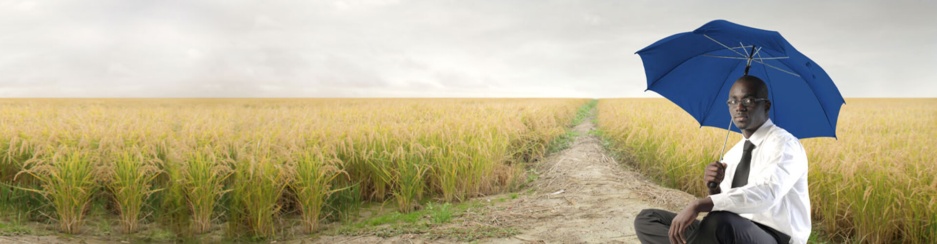 Life Page Header Image